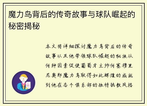 魔力鸟背后的传奇故事与球队崛起的秘密揭秘